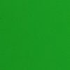 Oracal 970RA Grass Green