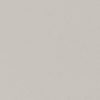 Oracal 970RA Stone Grey