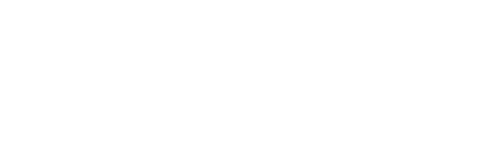 Skyfol PPF Wrap