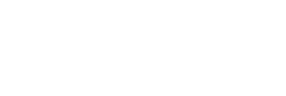 Skyfol Nano Elite